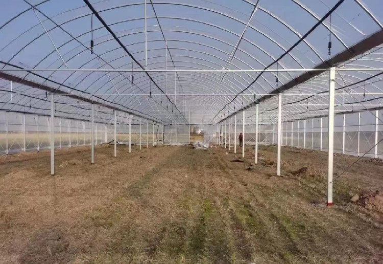 玻璃温室建造全解析：从选材到施工，打造高效现代农业设施