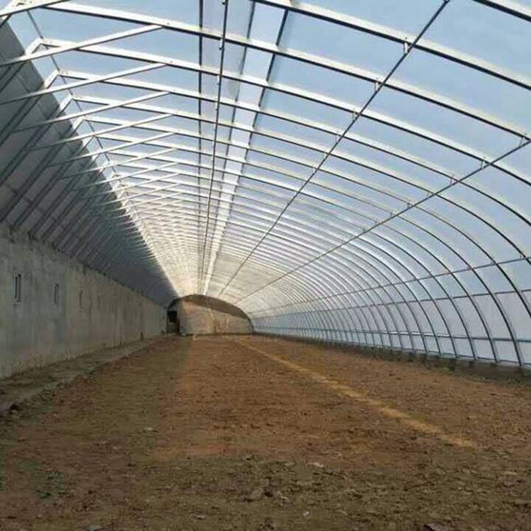 青州温室建造全指南：从选型到造价，看懂温室工程的每个环节