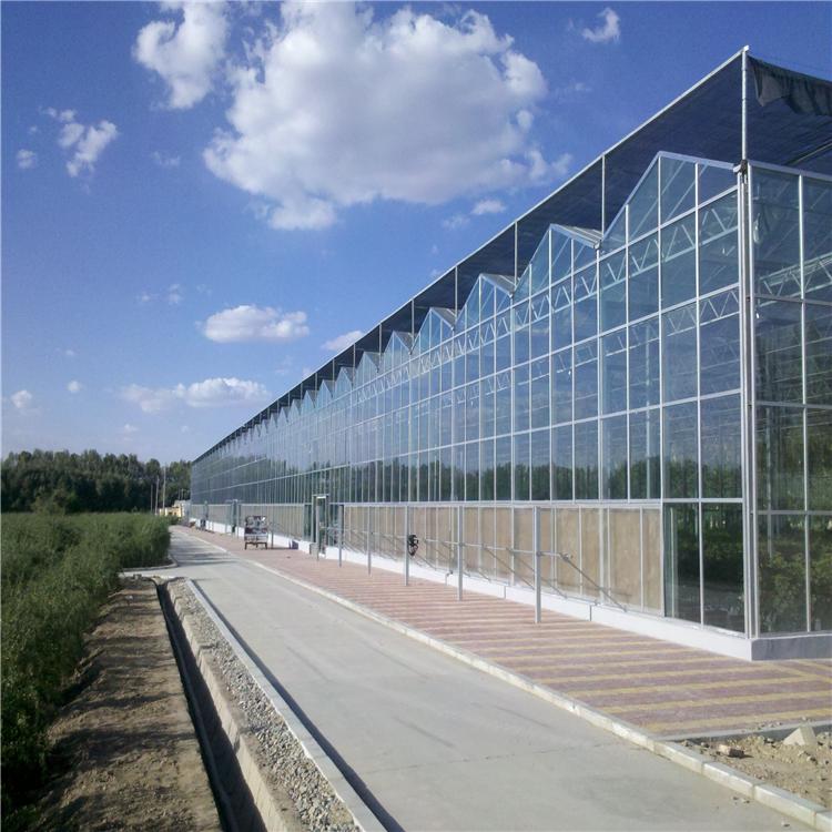 玻璃温室建造